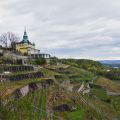 radebeuler-weinberge.jpg