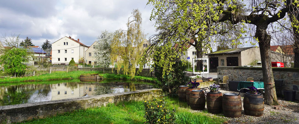 Alter Brauhof im Frühling