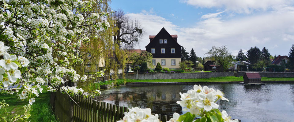 Alter Brauhof im Frühling